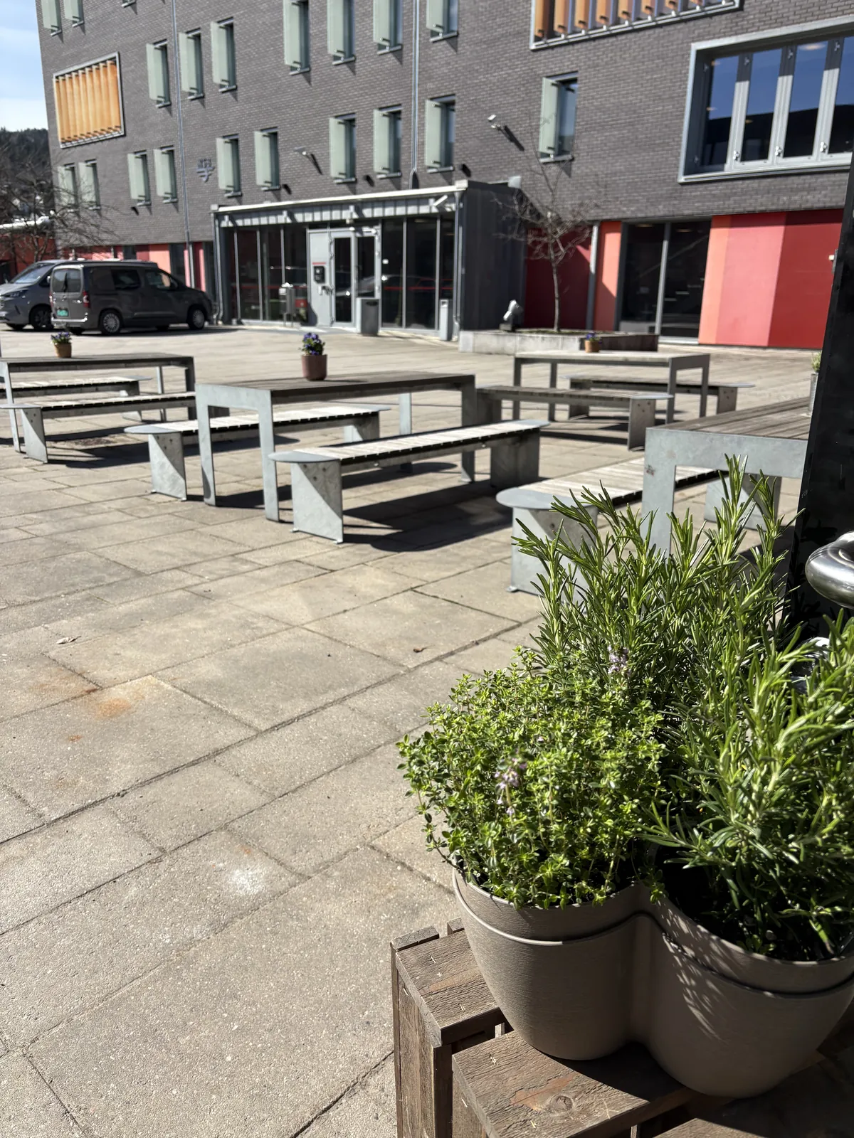 Uteservering med urtepotter